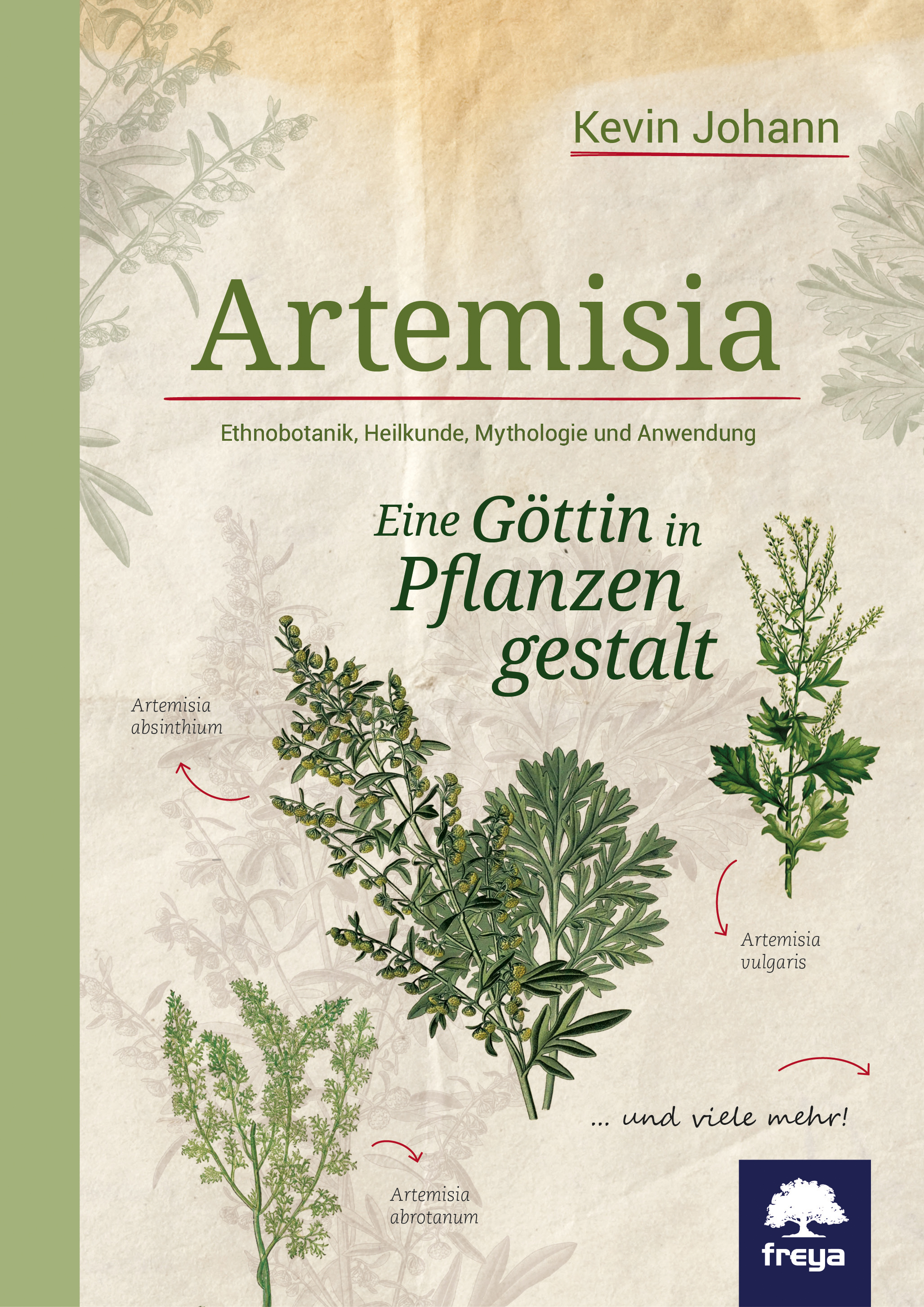 Artemisia   Pflanzen & Kräuter   Kräuterwissen   freya Verlag