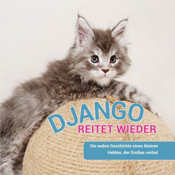 Django reitet wieder